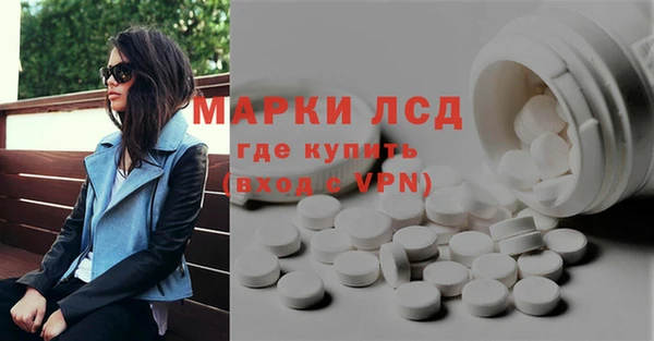 стаф Алзамай