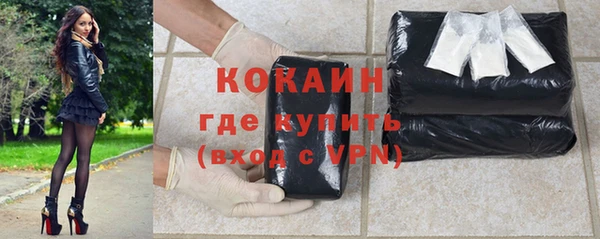 стаф Алзамай
