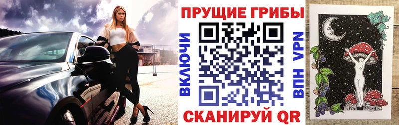 Галлюциногенные грибы мицелий  Каргополь 
